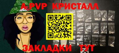 индика Кингисепп