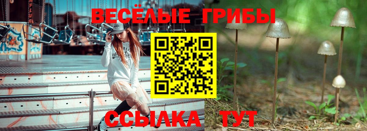 Галлюциногенные грибы Psilocybine cubensis  купить   Озёры  Вход с VPN 